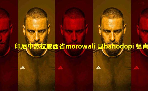 印尼中苏拉威西省morowali 县bahodopi 镇青山工业园